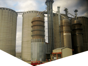 服务器攻击软件