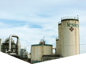 充满魔力的ip攻击器网页版